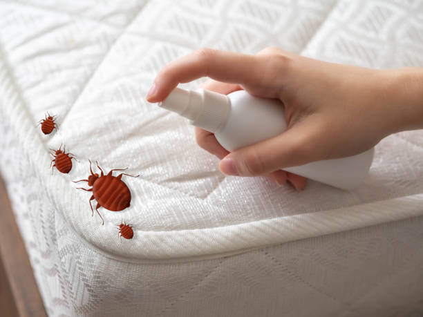 Best Best Pest Control Companies  in Oakdale, CA