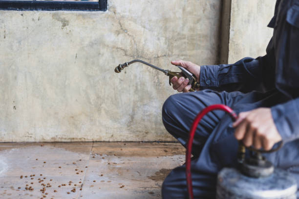 Best Pest Prevention Services  in Oakdale, CA
